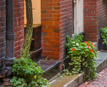 flowers and sidewalk steps in boston