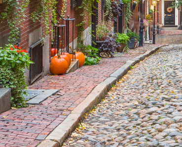 sidewalk in boston with pumpkins